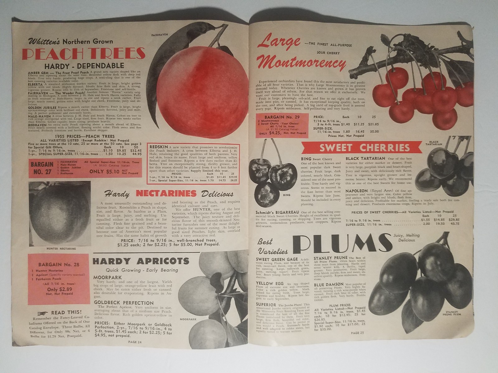 1955 Whitten Nurseries Catalog