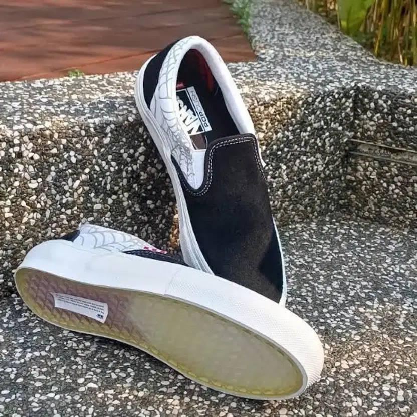 Vans Skate Slip-On Black Wido Spider 240