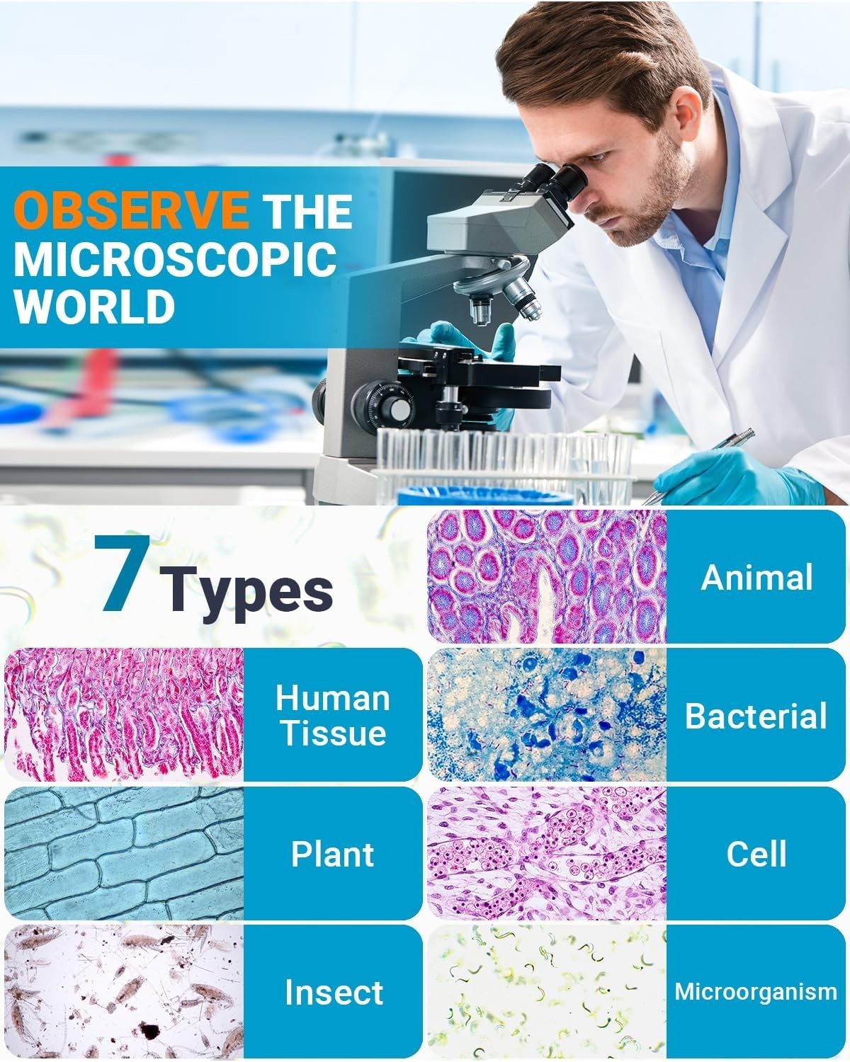 50 Optical-Grade Glass Microscope Slides & 100 Covers for Safe Science Learning