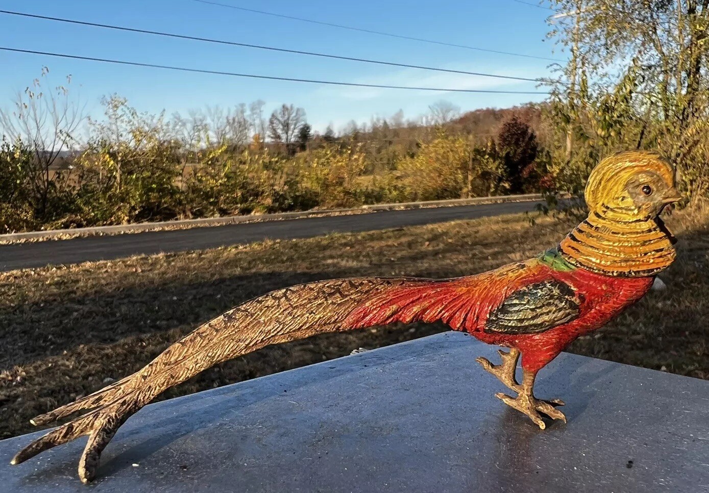 Antique Austrian Vienna Cold Painted Bronze Figure of Golden Pheasant Bird
