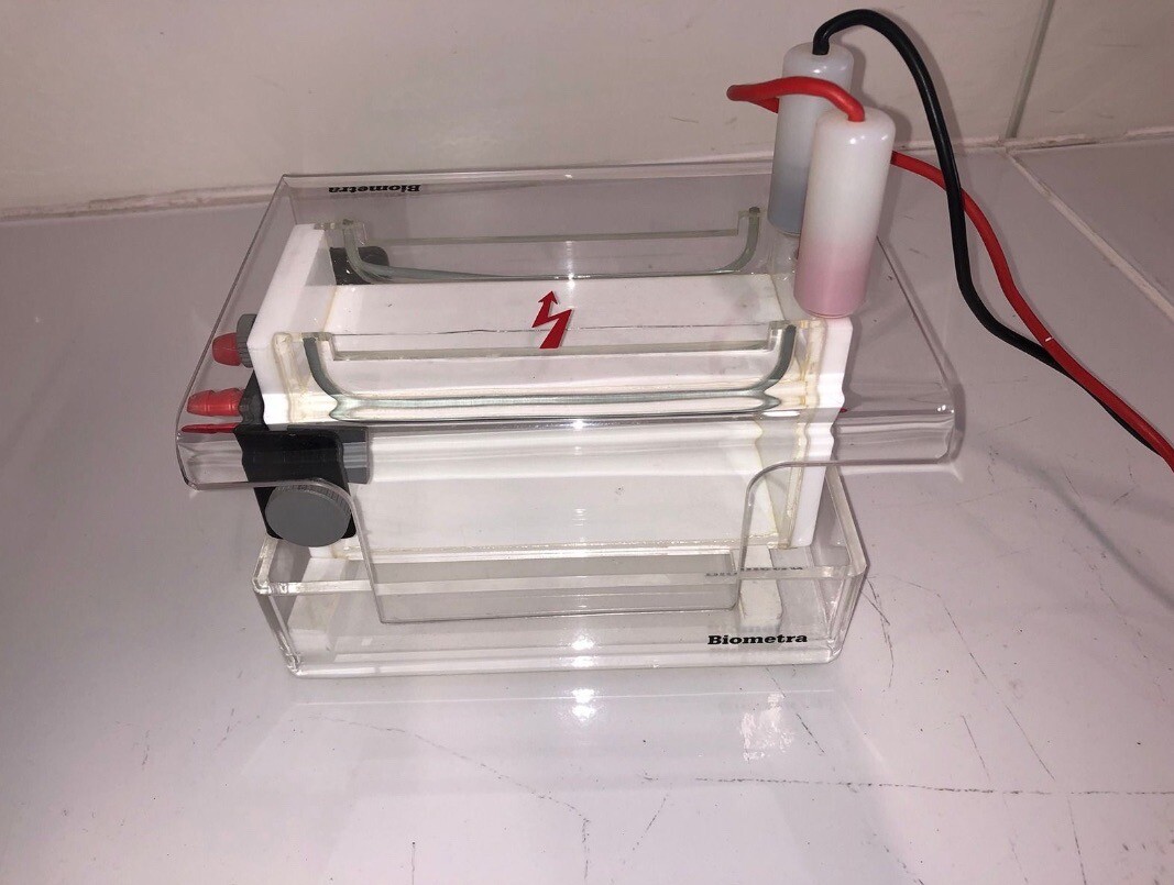 BIOMETRA APELEX ST 606 T