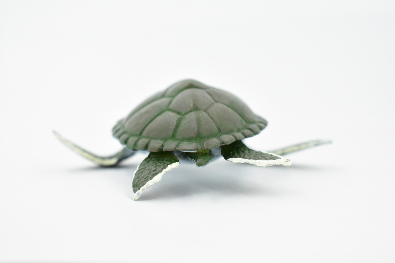 Green Sea Turtle, Realistic Toy Figure, Model, Replica, Gift, 4" CH319 BB131