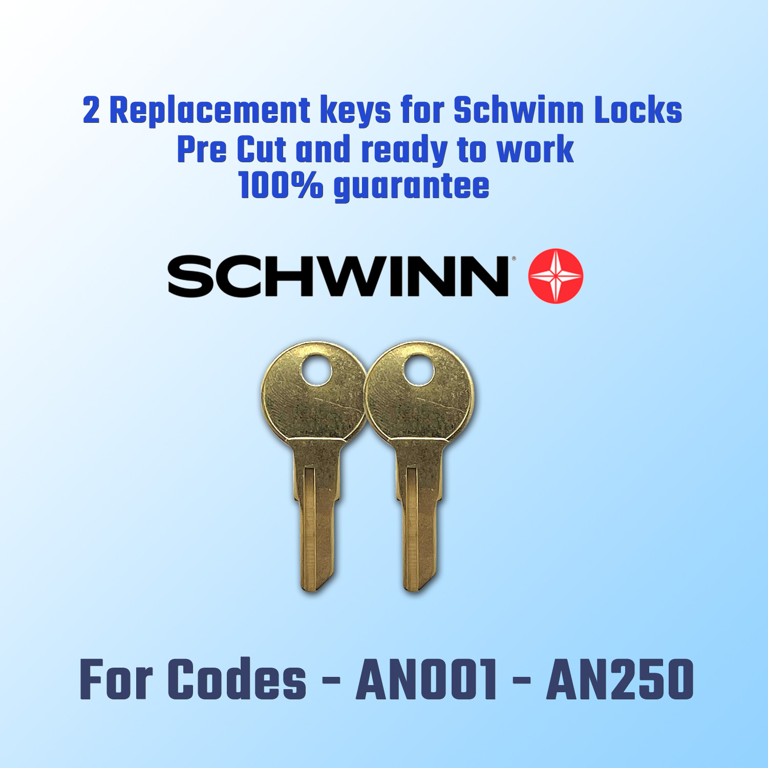 AN001-AN250. Pair of keys for Schwinn Bicycle Locks, Precision Cut To Your Code.