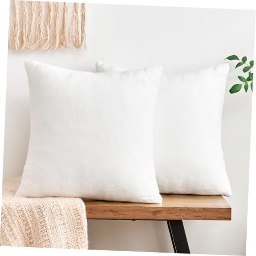 Throw Pillow Covers Decorative Velvet Set of 2 22" x 22" (Pack of 2) White