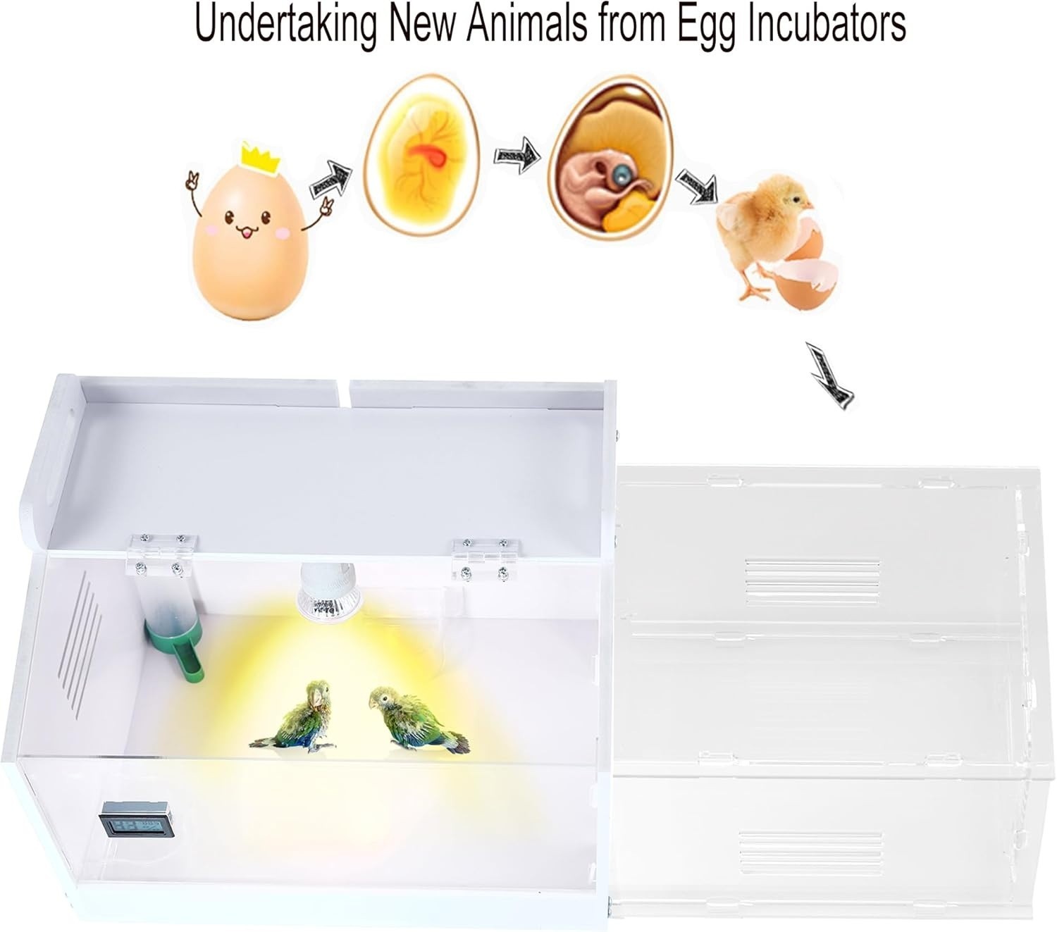 Large-Scale Chick brooder Box Quail Cage Egg Incubator Chick Starter Kit Chicken