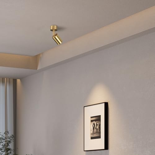 Aisilan Solid Copper Surface Mounted Angle Adjustable 7W-3000K Warm White Gold