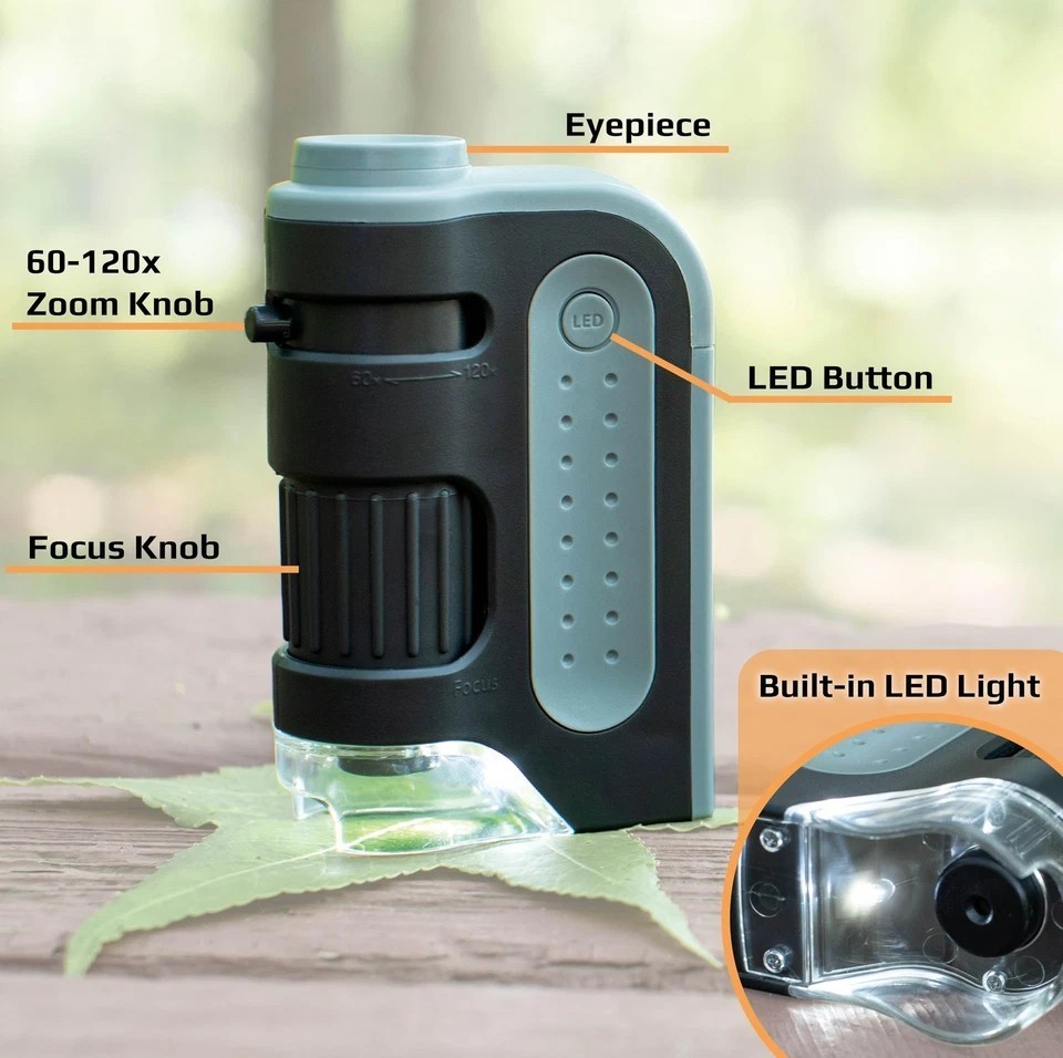 Carson | MicroBrite Plus | LED Pocket Microscope | 60x-120x | MM300 | Gray | 107