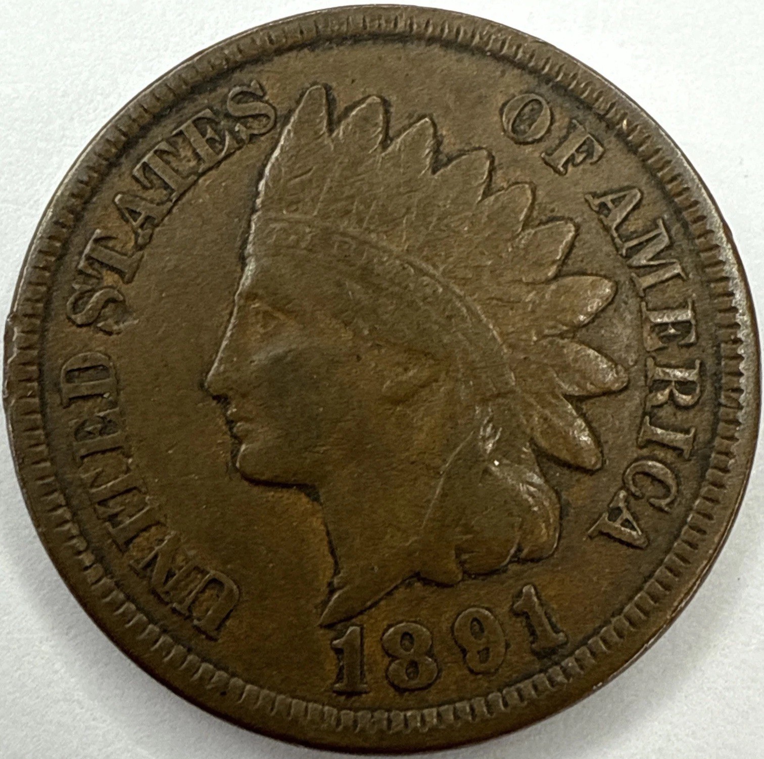 1891 Indian Head Cent Exact Coin Imaged #IND2284