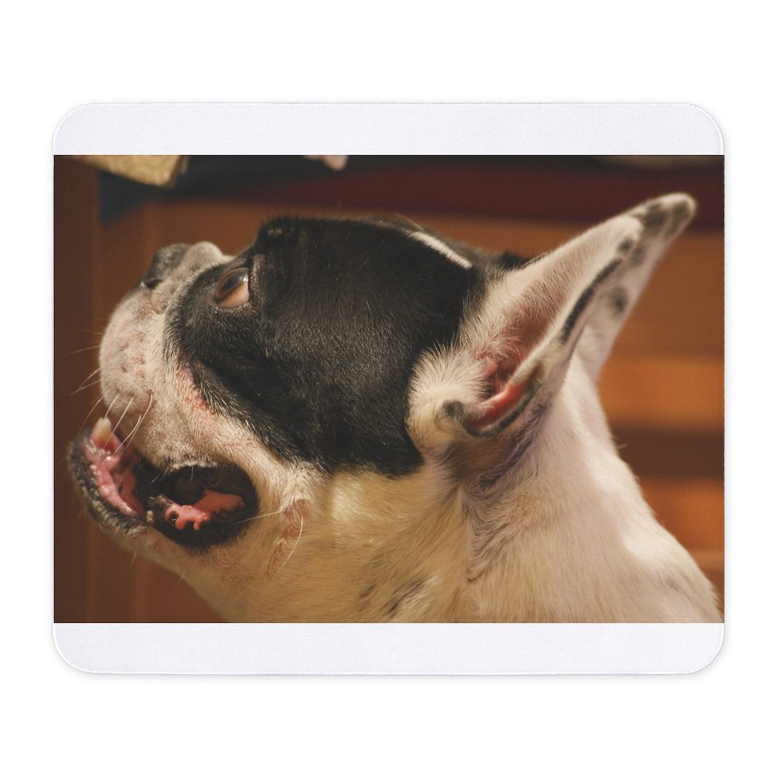 CafePress 2 French Bulldog Mousepad  (688575322)