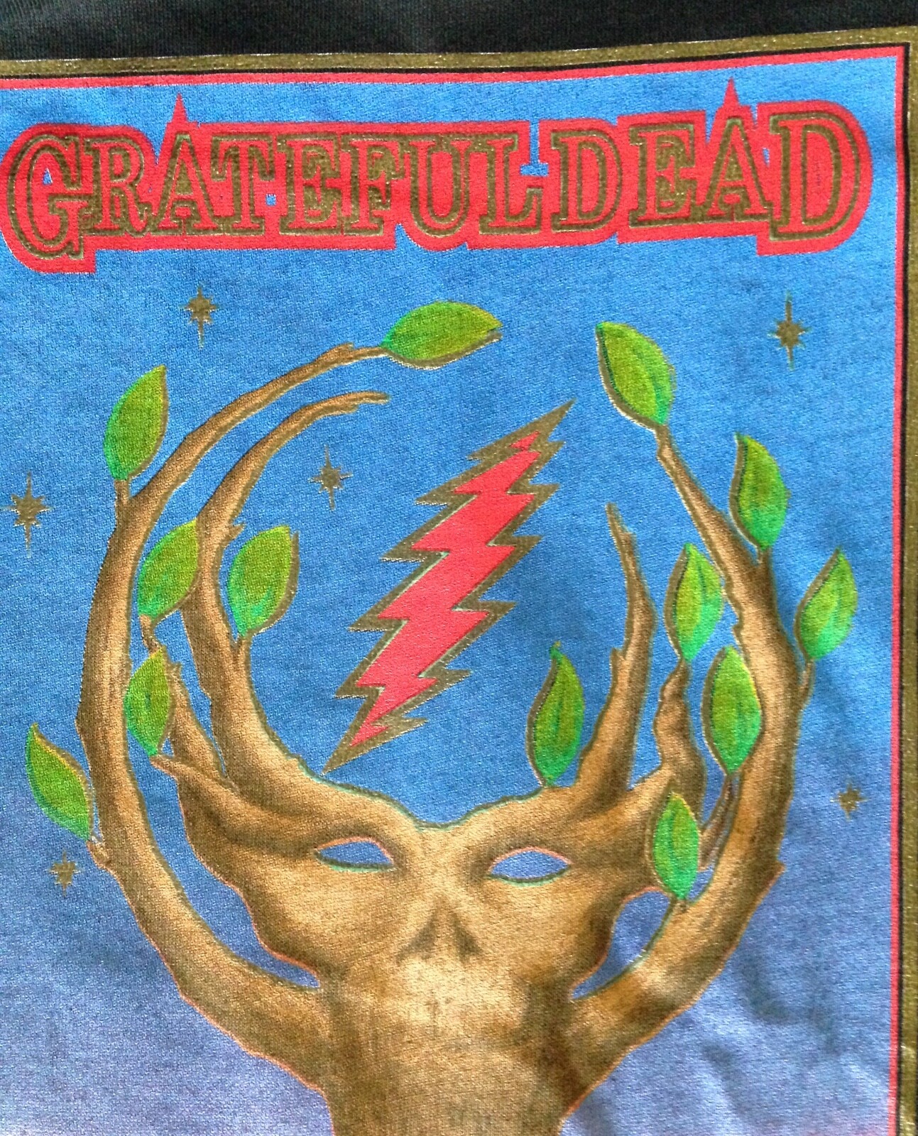 Grateful Dead 1989 FALL TOUR Vintage Shirt Warlocks Hampton Coliseum Miami RARE 