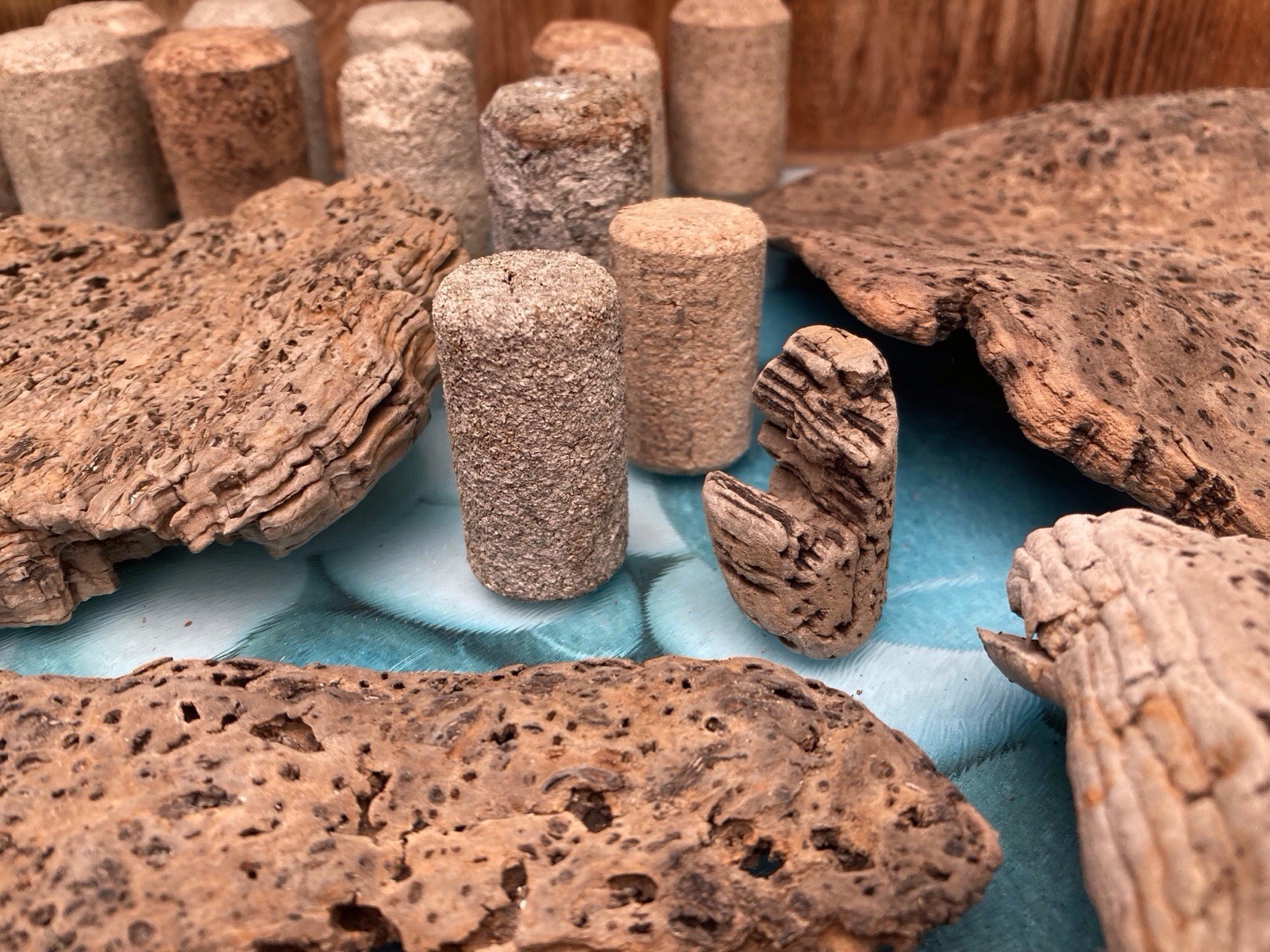 Tropical Driftwood and Cork pieces