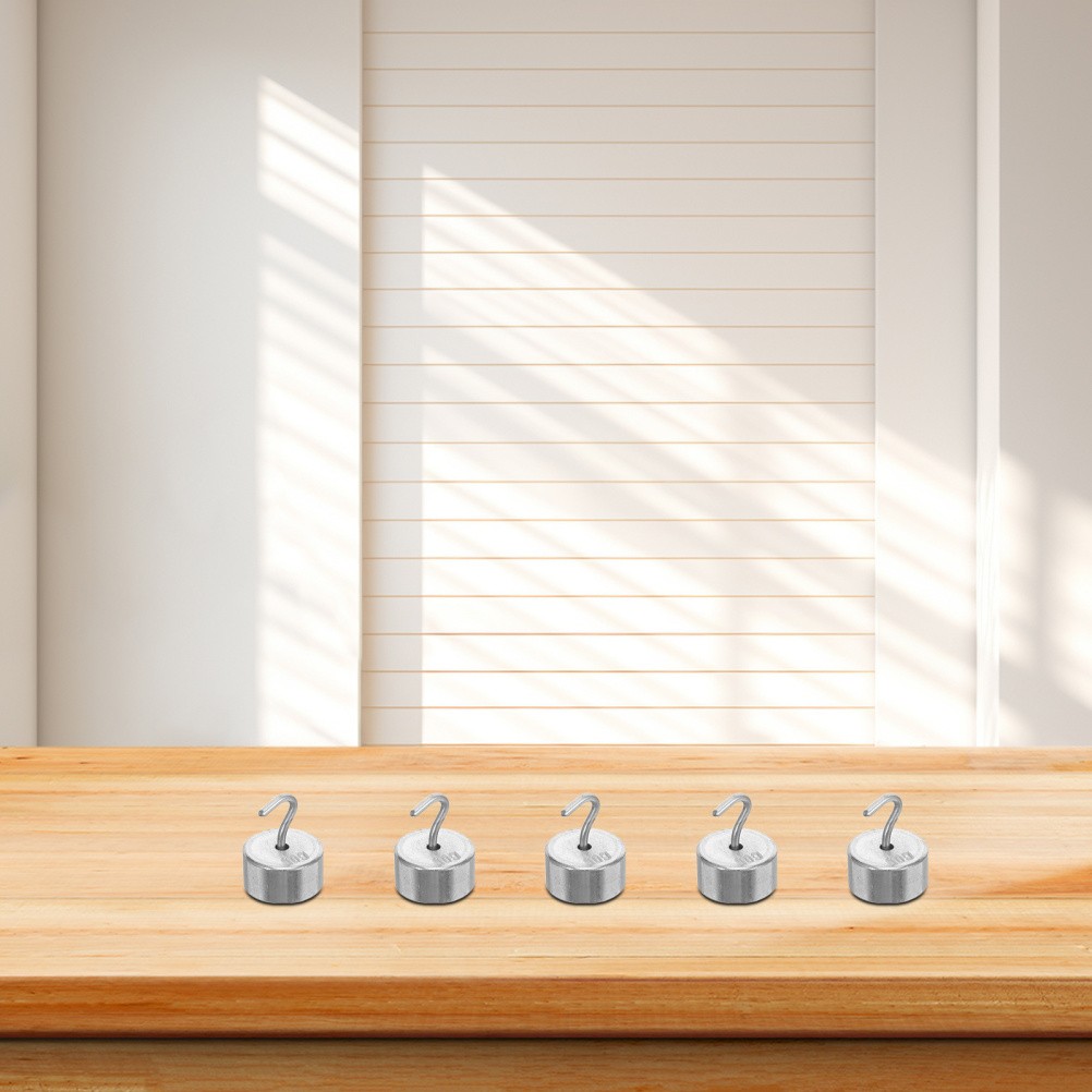 10 Pcs Laboratory Supplies Precision Calibration Weight Set Gram Weights