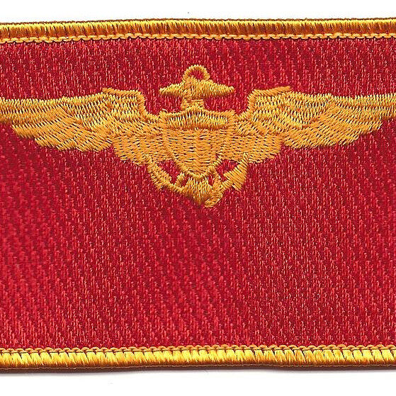 Aviaition Pilot Wings Gold Field Red Patch