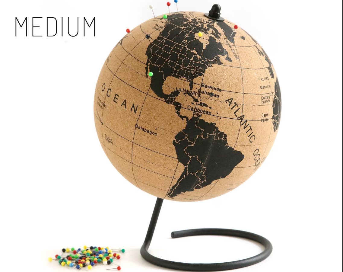 Travel Cork Globe Black 50 Push Pins Educational Map Display Stand