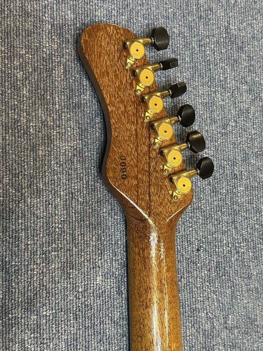 Electric Guitar Deviser Special Specification Rosetta Vessel Humbucker