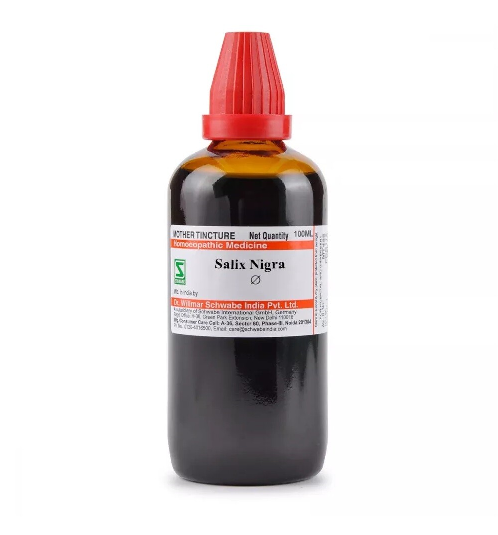 Willmar Schwabe Homeopathy Salix Nigra Mother Tincture Q (Size 30/100ml)
