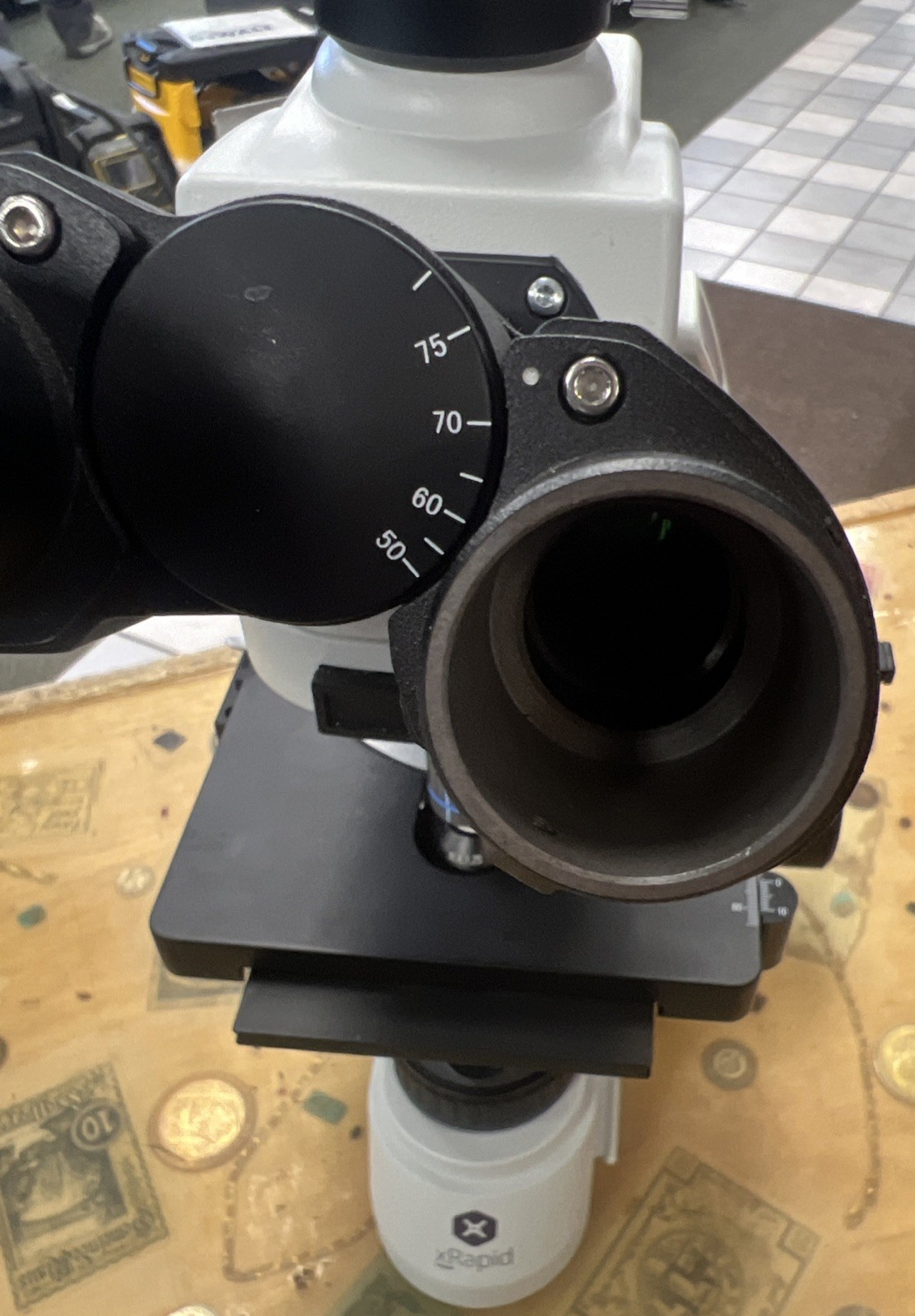X Rapid Group Biological Microscope Model x_B8C6