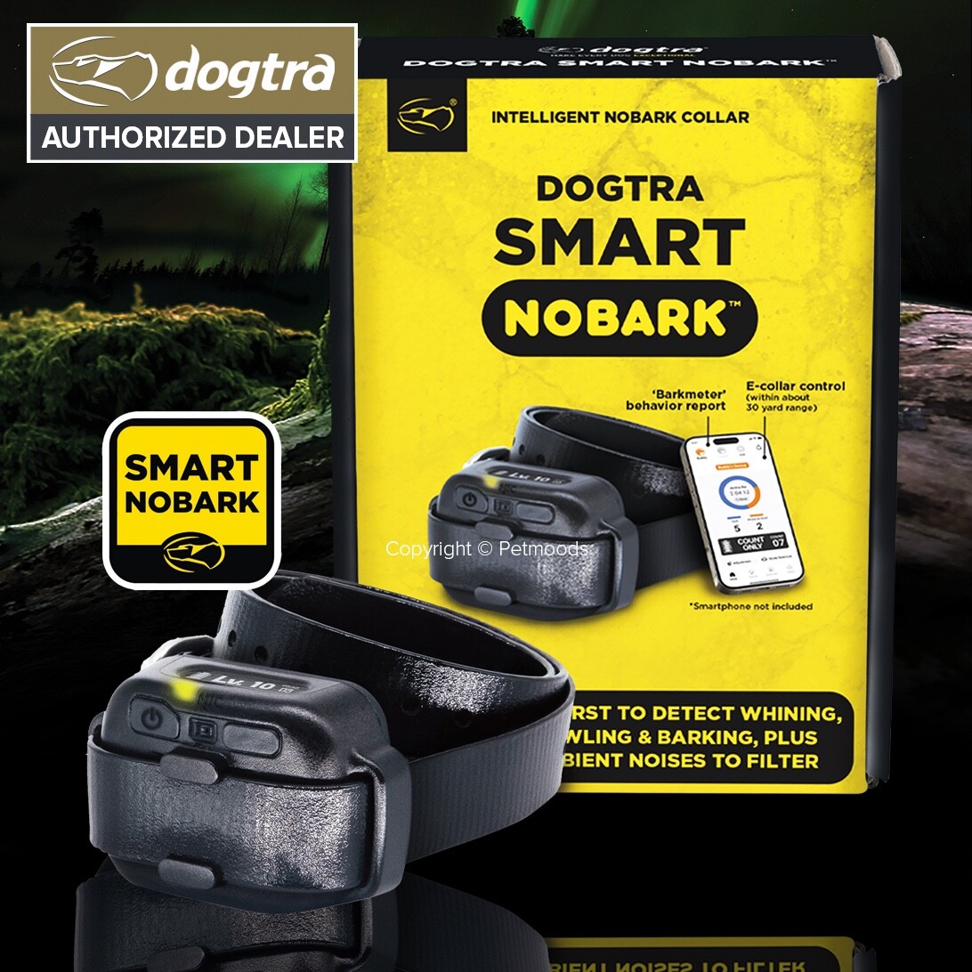 Dogtra Smart NoBark Dog E-Collar App Control, Detects Barking, Howling, Whining