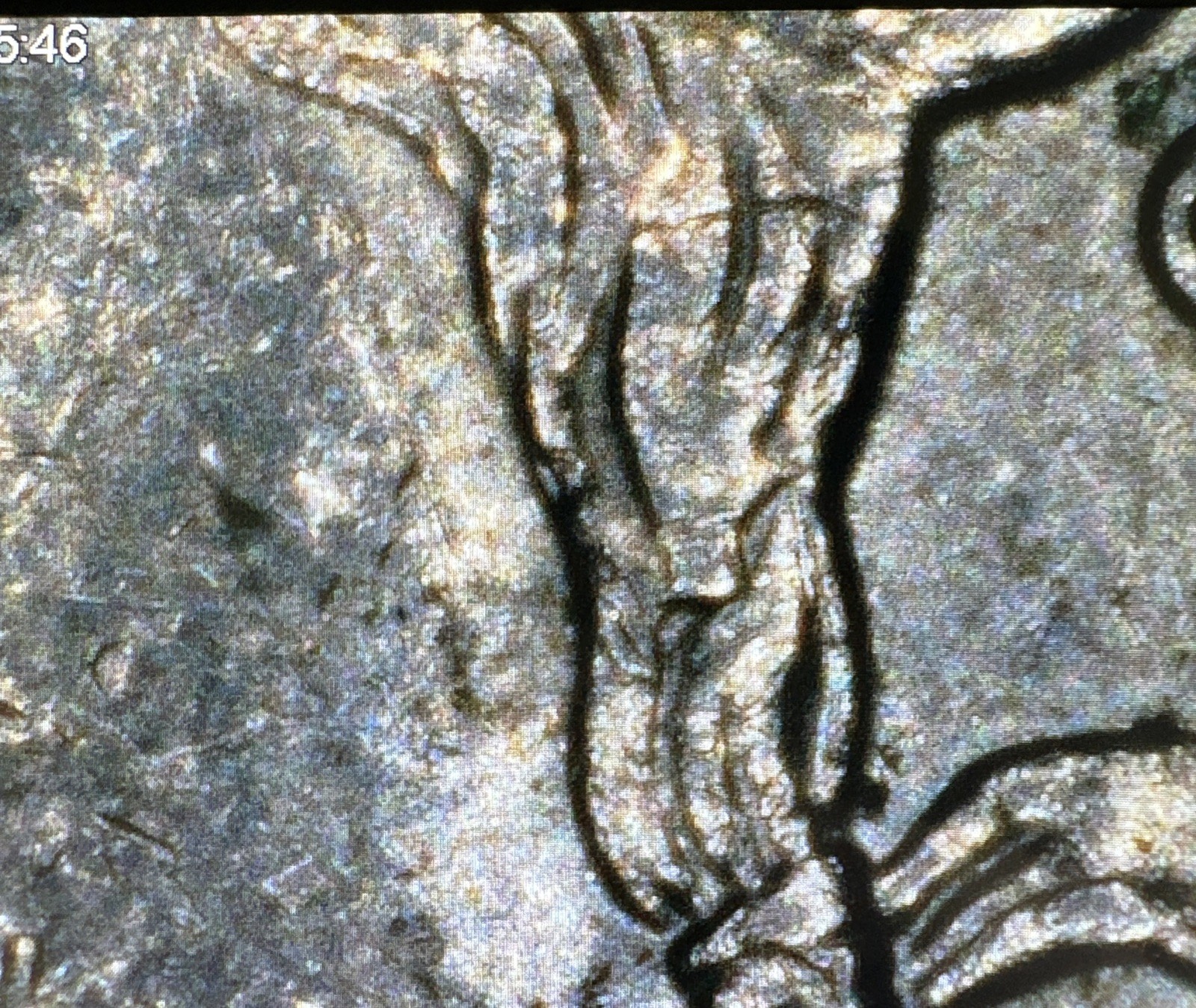 2002-P Indiana State Quarter Error. Die Break, DDR/DDO