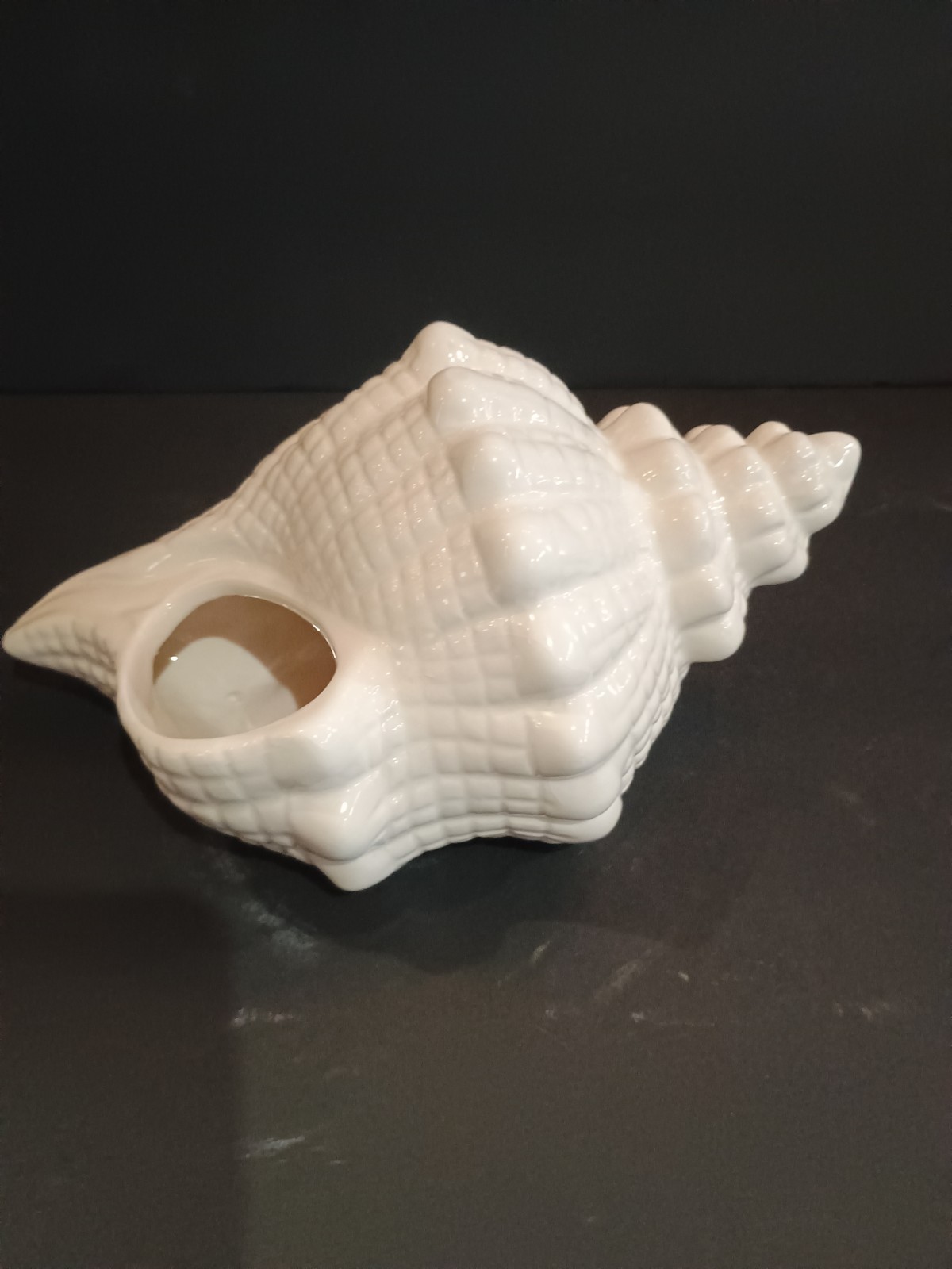 Seashell Planter Conch Shell Glazed Ceramic NEW Nautical Decor Cuffy's Cape Cod