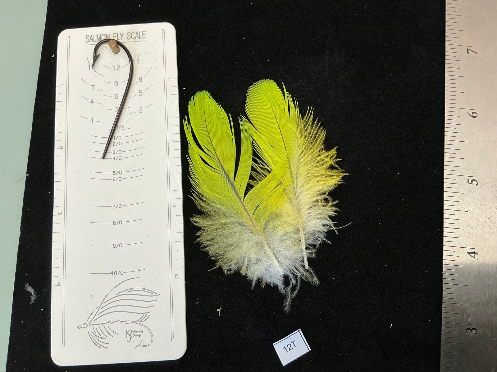 Matched  parrot feathers for  Salmon Flies 12T-14H