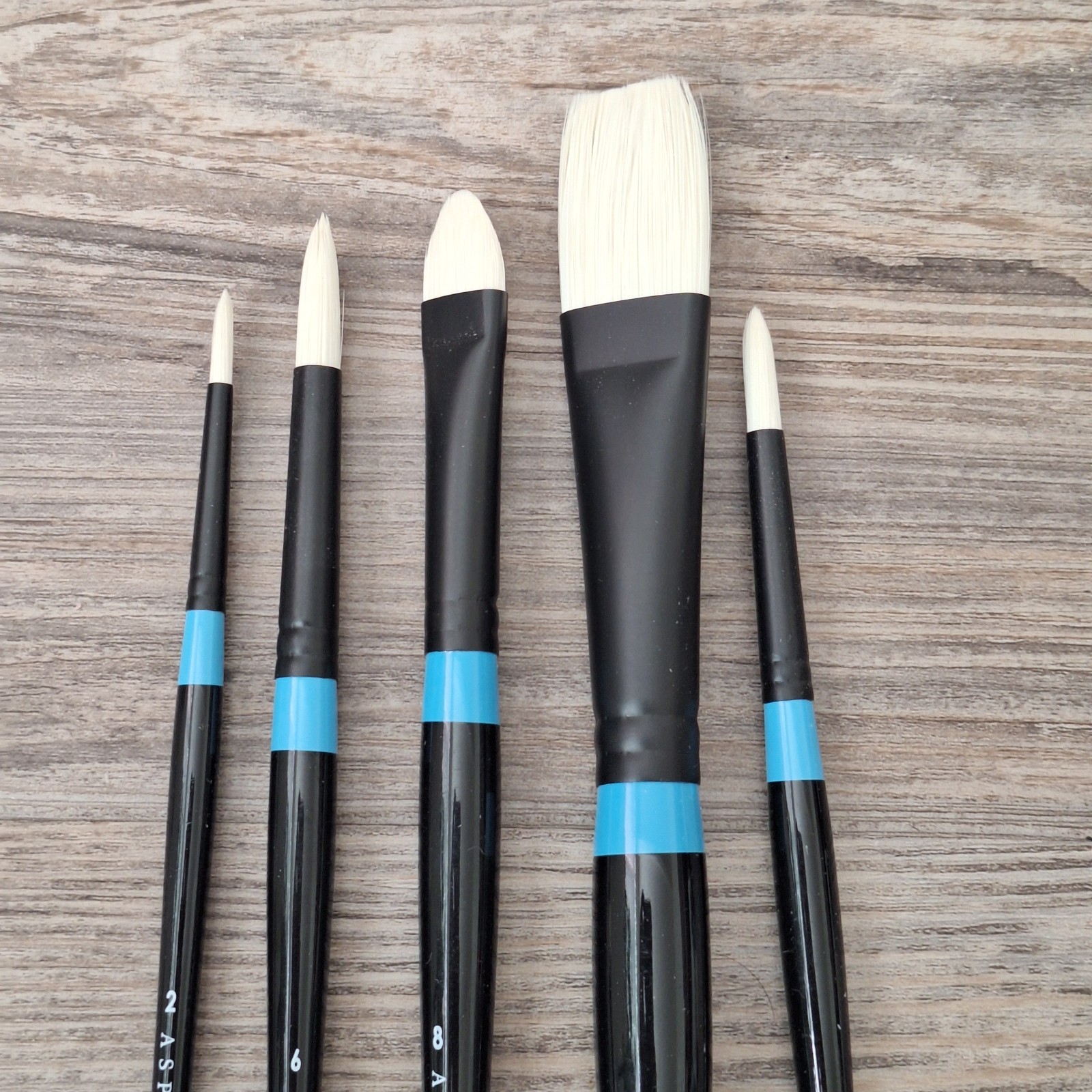 LOT OF 5 - Princeton Aspen Long Handle Oil Acrylic Synthetic Paint Brushes C171
