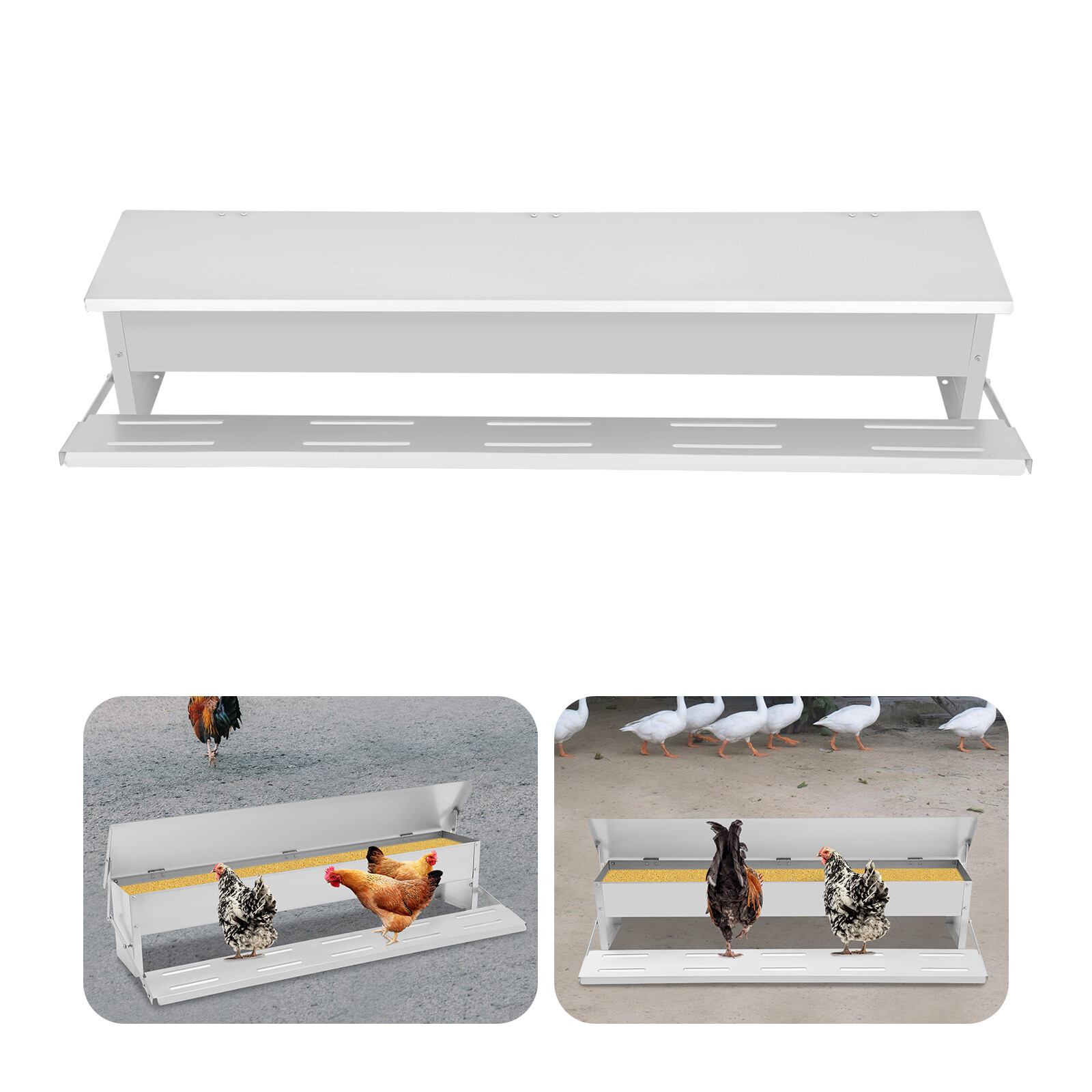 Automatic Chicken Feed Trough Feeder Poultry Trough Chicken Feeder Floor Stand