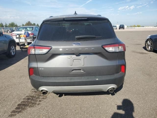 Ford Escape Contact Sensor 2022 2023 2024