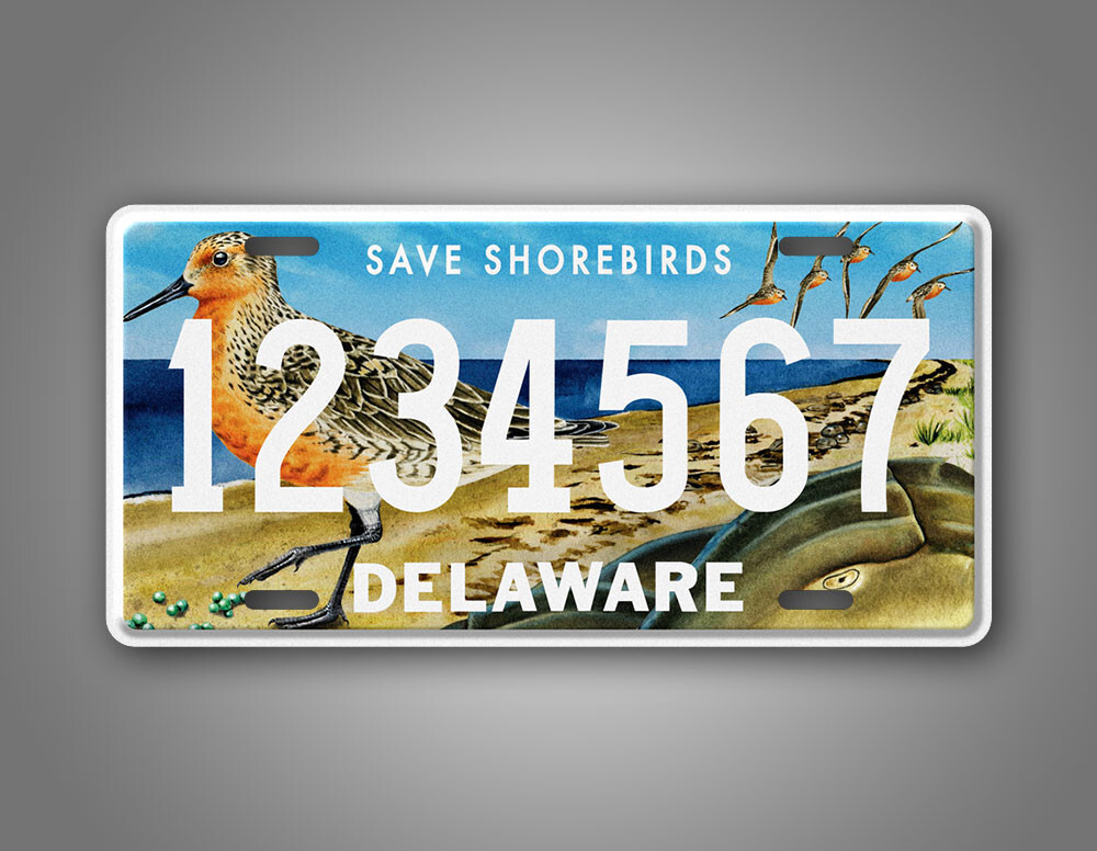 Personalized Delaware Save Shorebirds License Plate 6x12 CustomTag