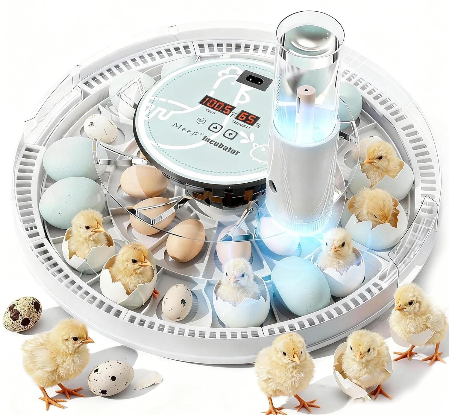 Incubadora De Huevos Automatica Para Huevos De Pato Gallina Codorniz 28 Huevos