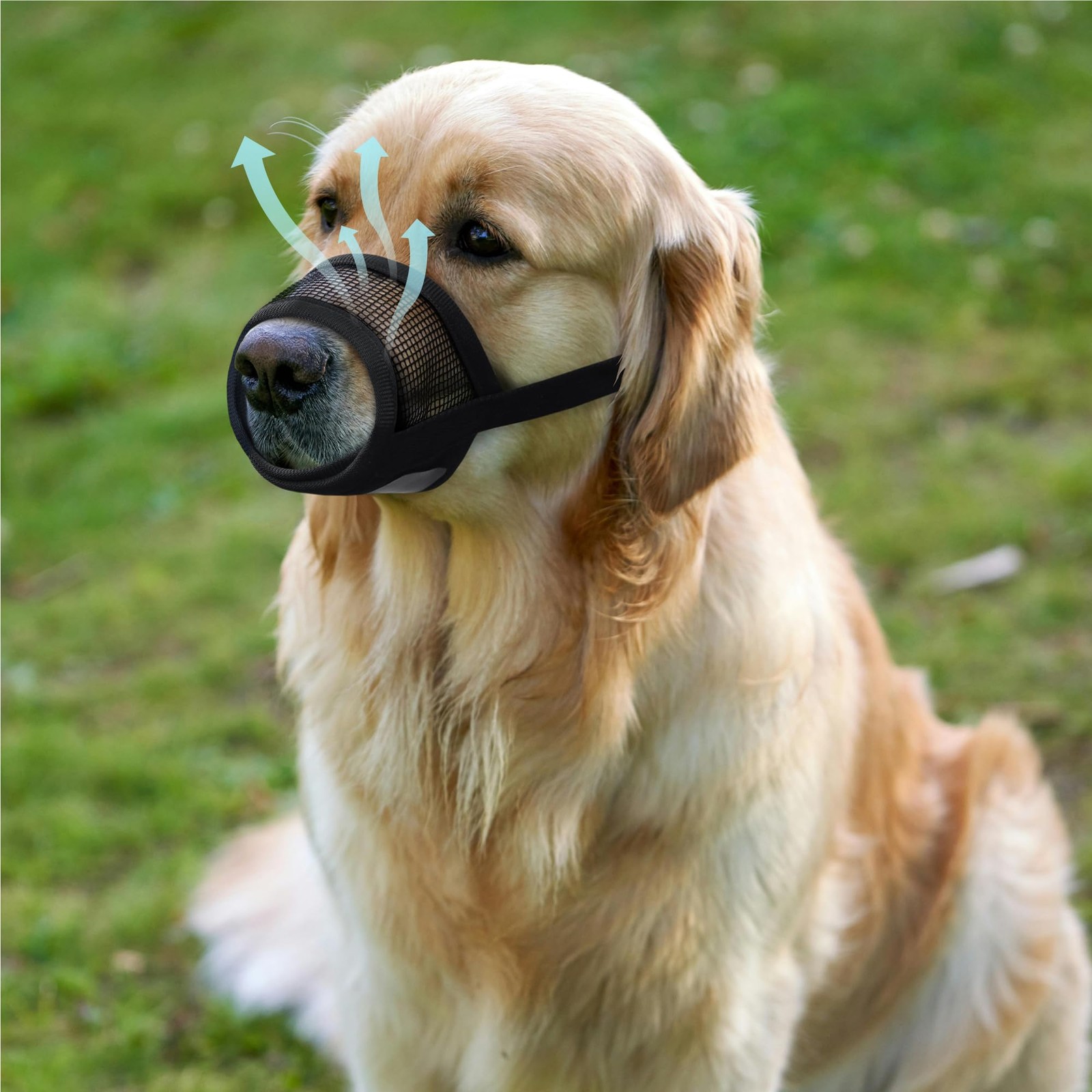 Extra Large Dog Muzzle Air Mesh Biting Barking Chewing Prevent Adjustable