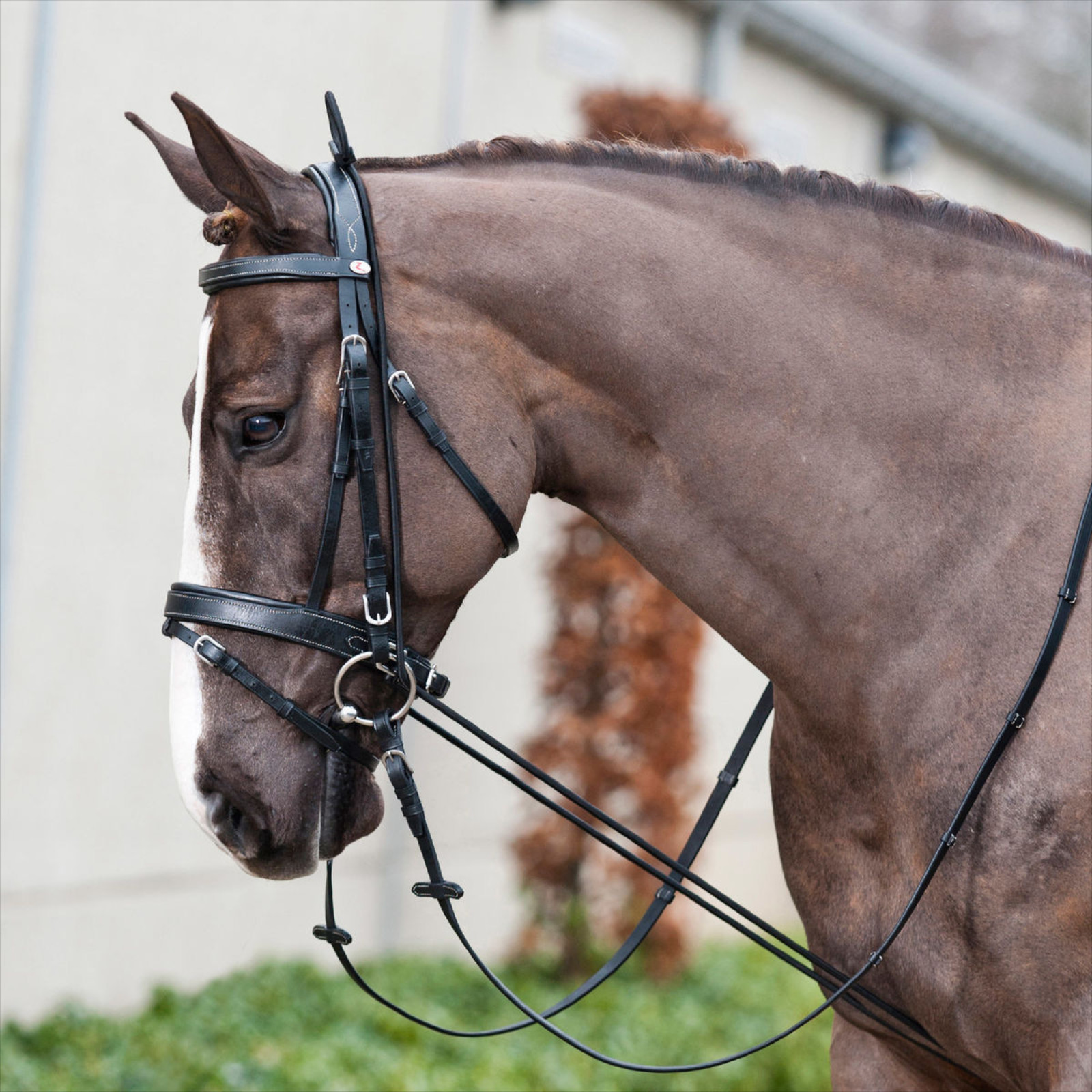 Horse Reins Black Wear Resistant Bridle Nylon Adjustable Harness Training Rope