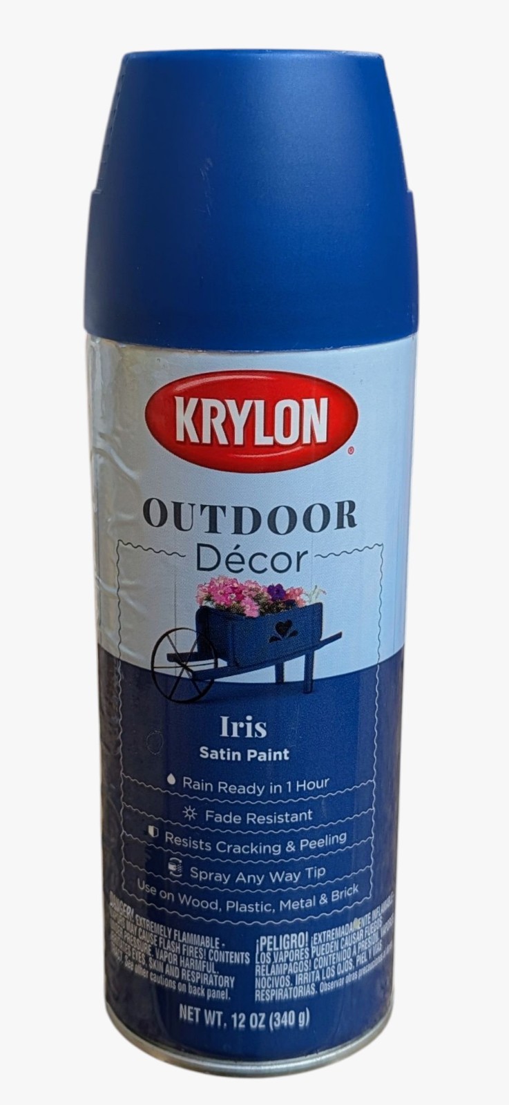 Krylon Outdoor Decor Satin Spray Paint - Iris- 12 oz