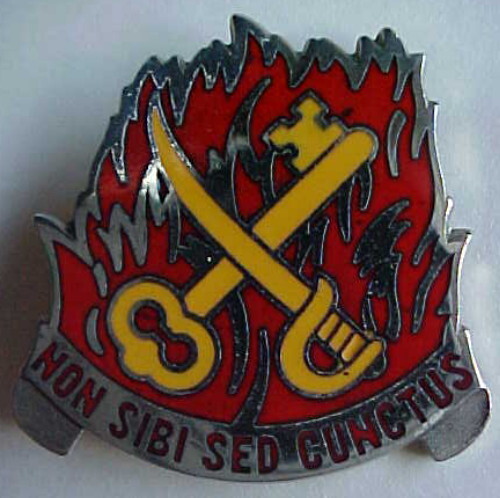 Non Sibi Sed Cunctus Cunctis NOT FOR ONESELF BUT ALL Meyer US Military Pin ERROR