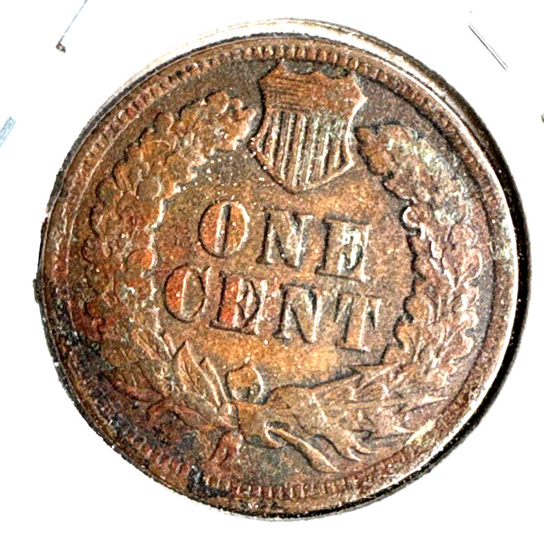 1901 indian Head cent XF detail