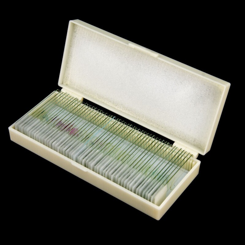 50 PCS Microscope Glass Prepared Slides Animal Plants mammal Slice w Plastic Box