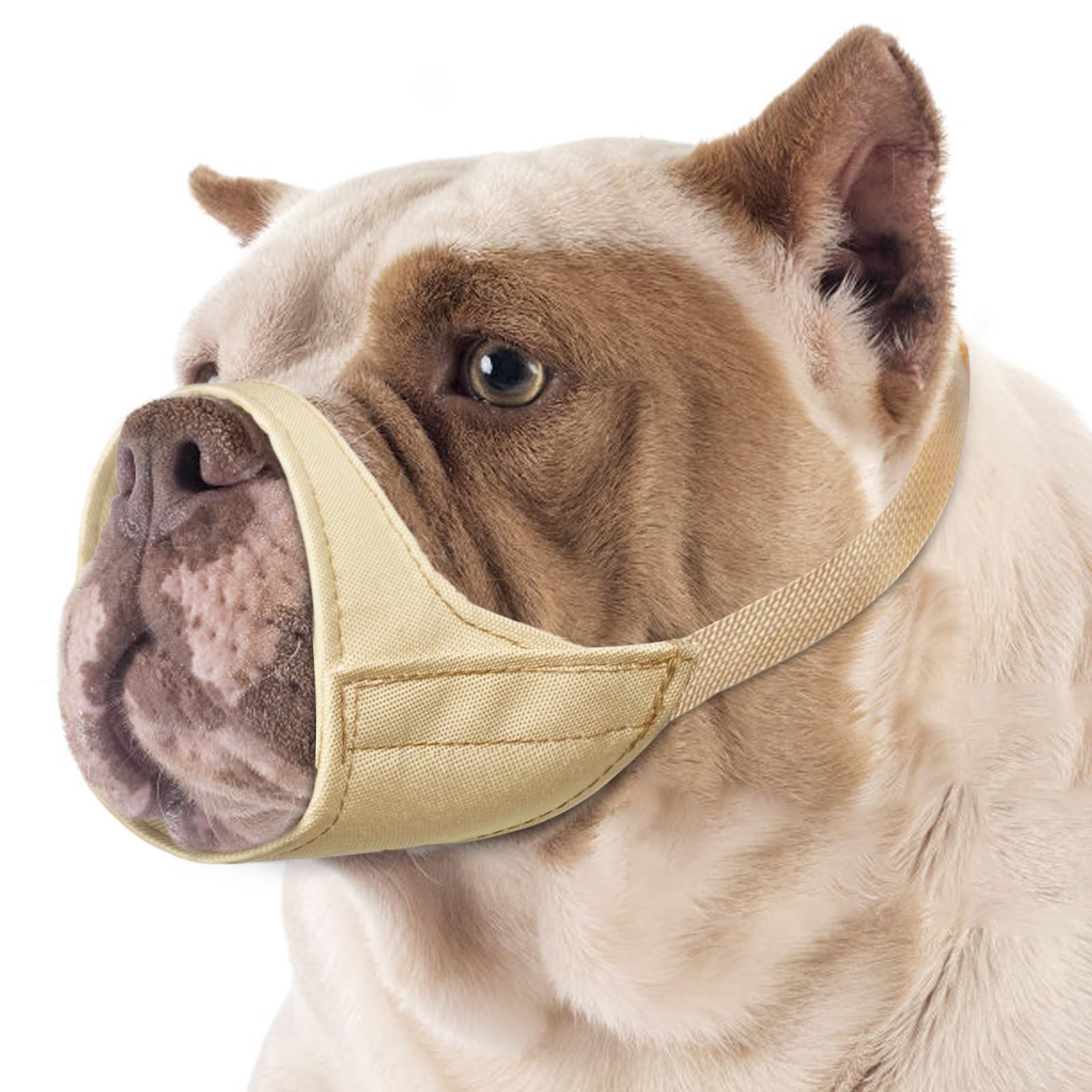 Fabric Muzzle for American Bully Boxer Puppy Short Snout Dog | Prevent Fierce Bi