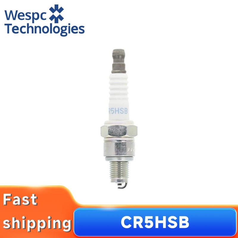 Original NGK CR5HSB Spark Plug for Small Generator Water Pump GX50 GX100 4Pcs