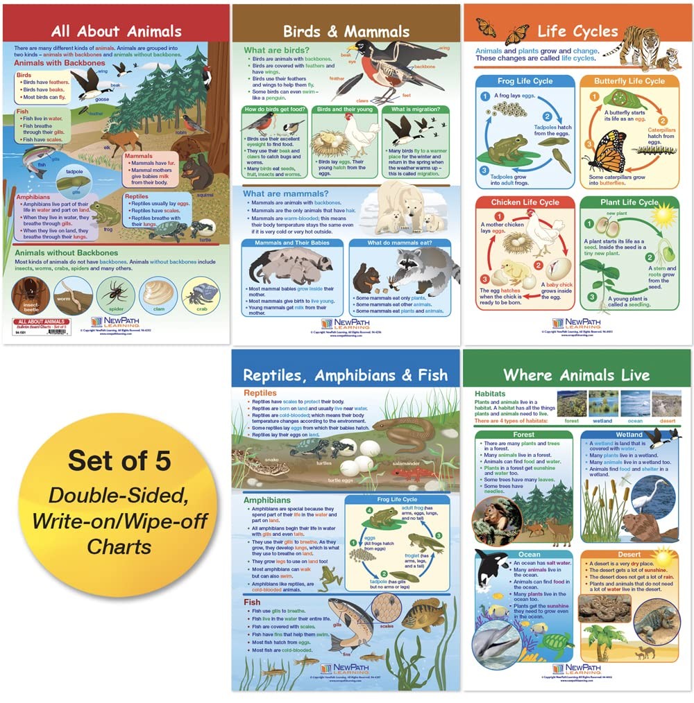 941501 All About Animals Bulletin Board Chart Set 12x18 Laminated 5 Pack Kit