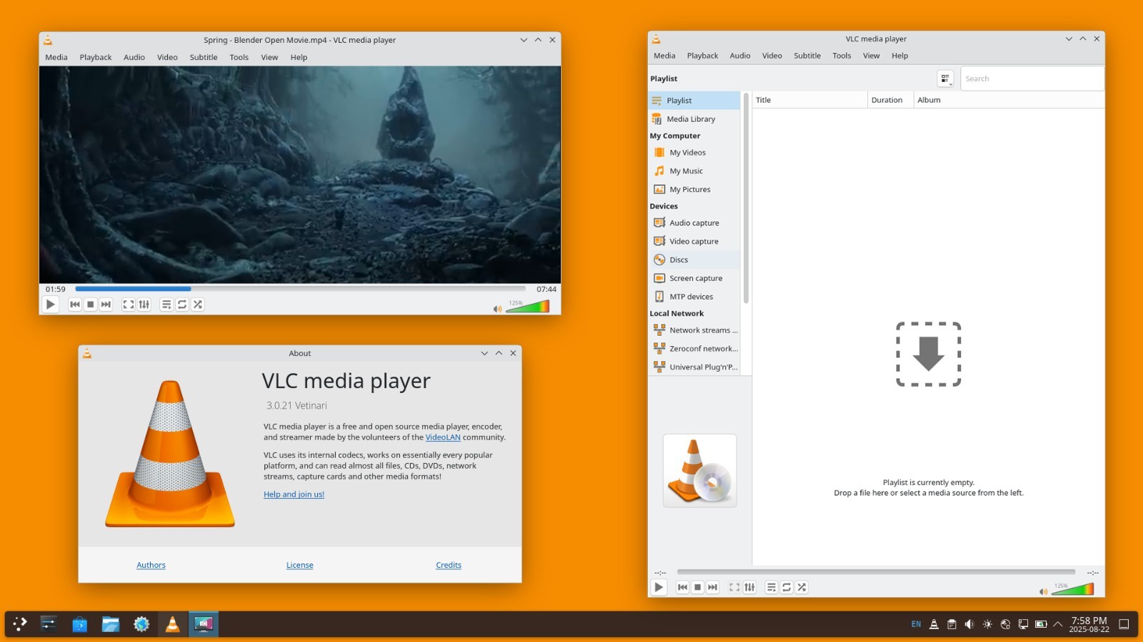 Pro 2025 Video Converter Software - Transcode Compress & Rip USB or DVD Windows