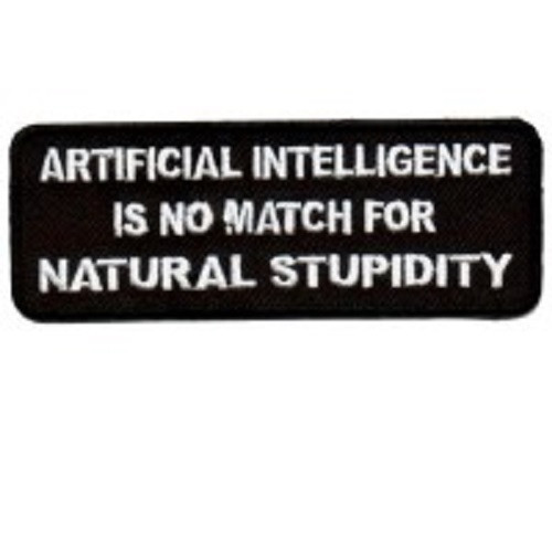 ARTIFICIAL INTELLIGENCE NO MATCH FOR NATURAL STUPIDITY EMBROIDERED PATCH