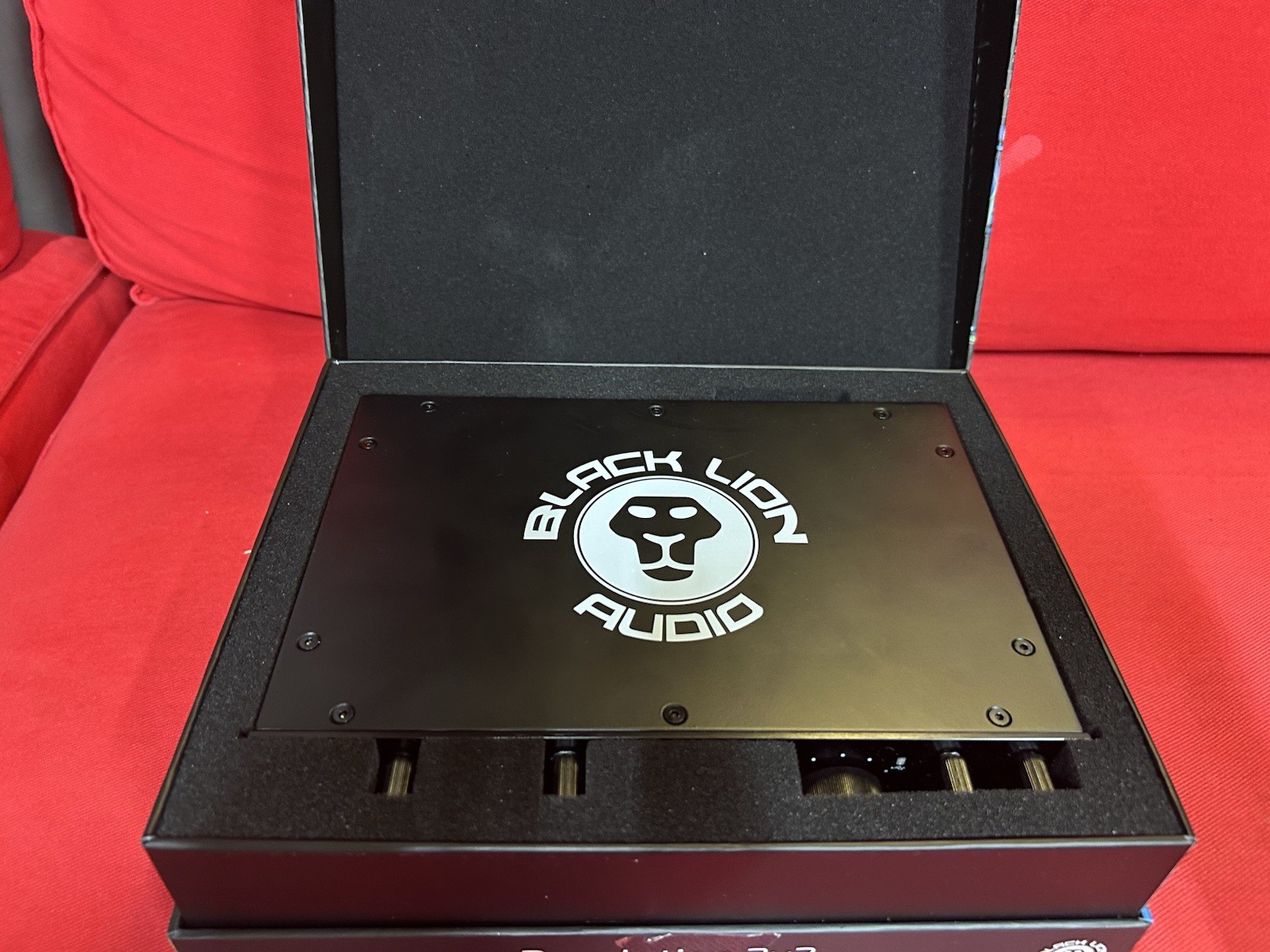 Black Lion Audio Revolution 2 x 2