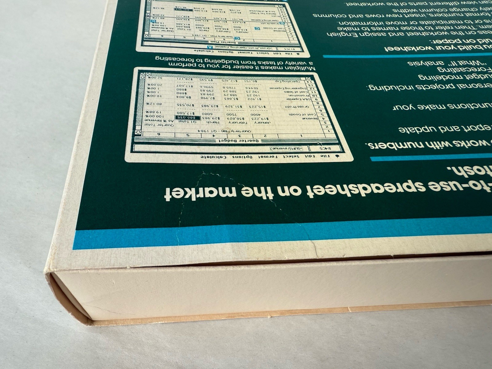 Microsoft MULTIPLAN Electronic Spreadsheet Program Apple Macintosh No Floppy