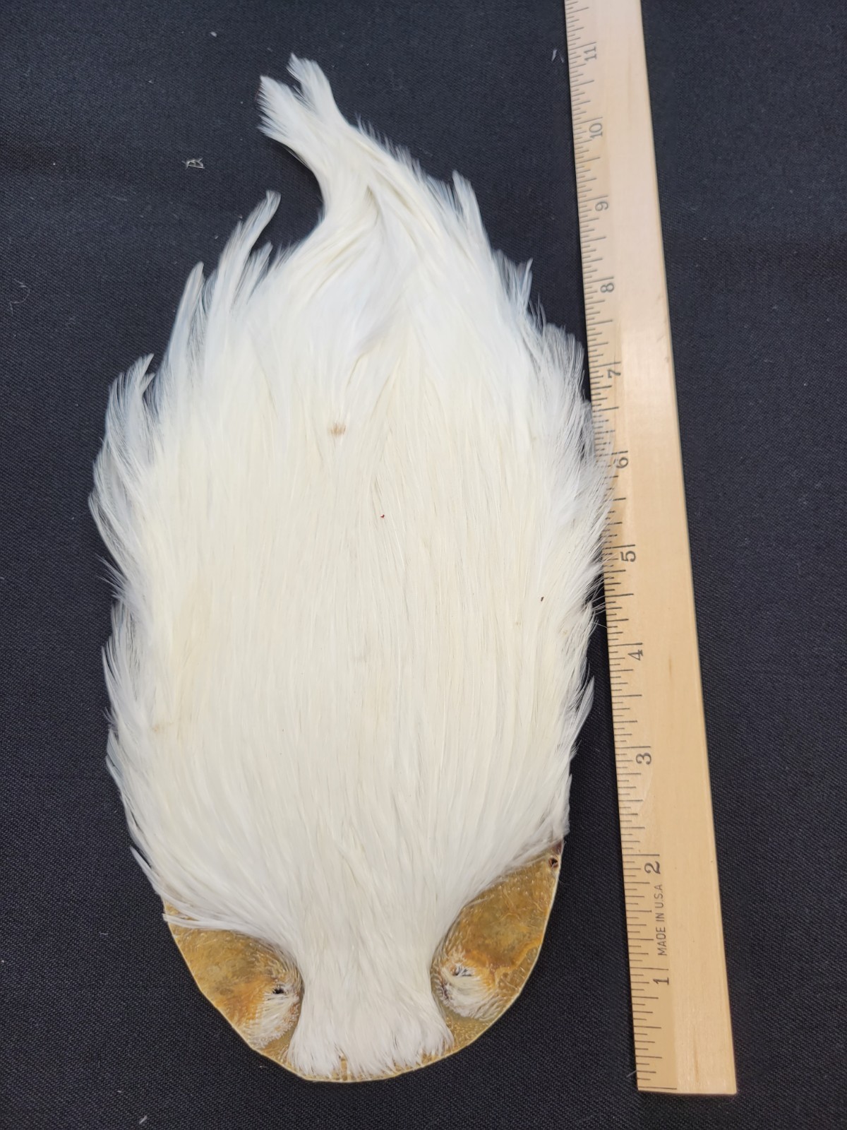 Lot 21,  Top Quality Dyed WHITE India Rooster Streamer Neck Cape Feathers