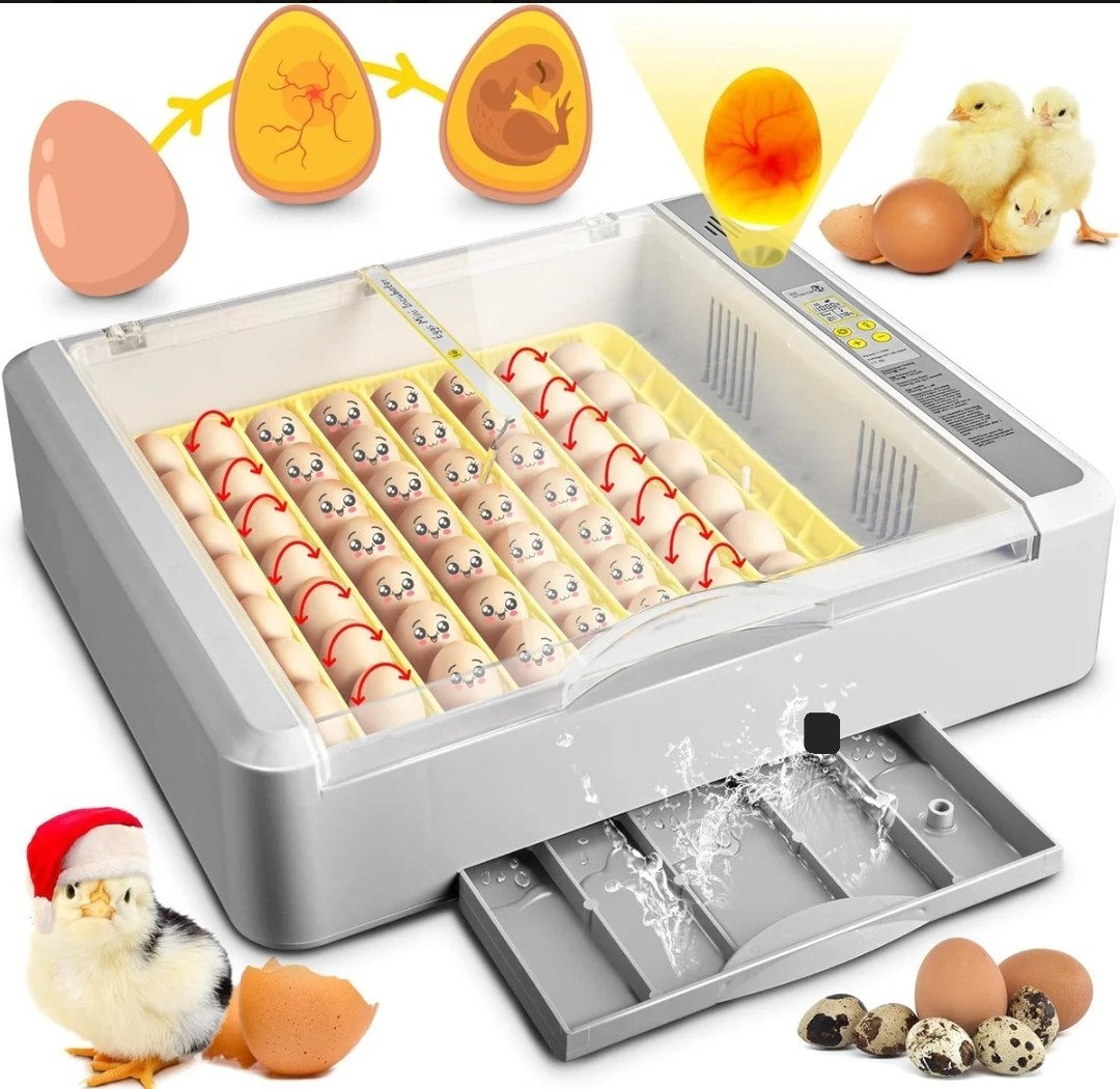 Innvello 36 Egg Incubator Automatic Turner Digital Poultry Hatching Chicken Duck