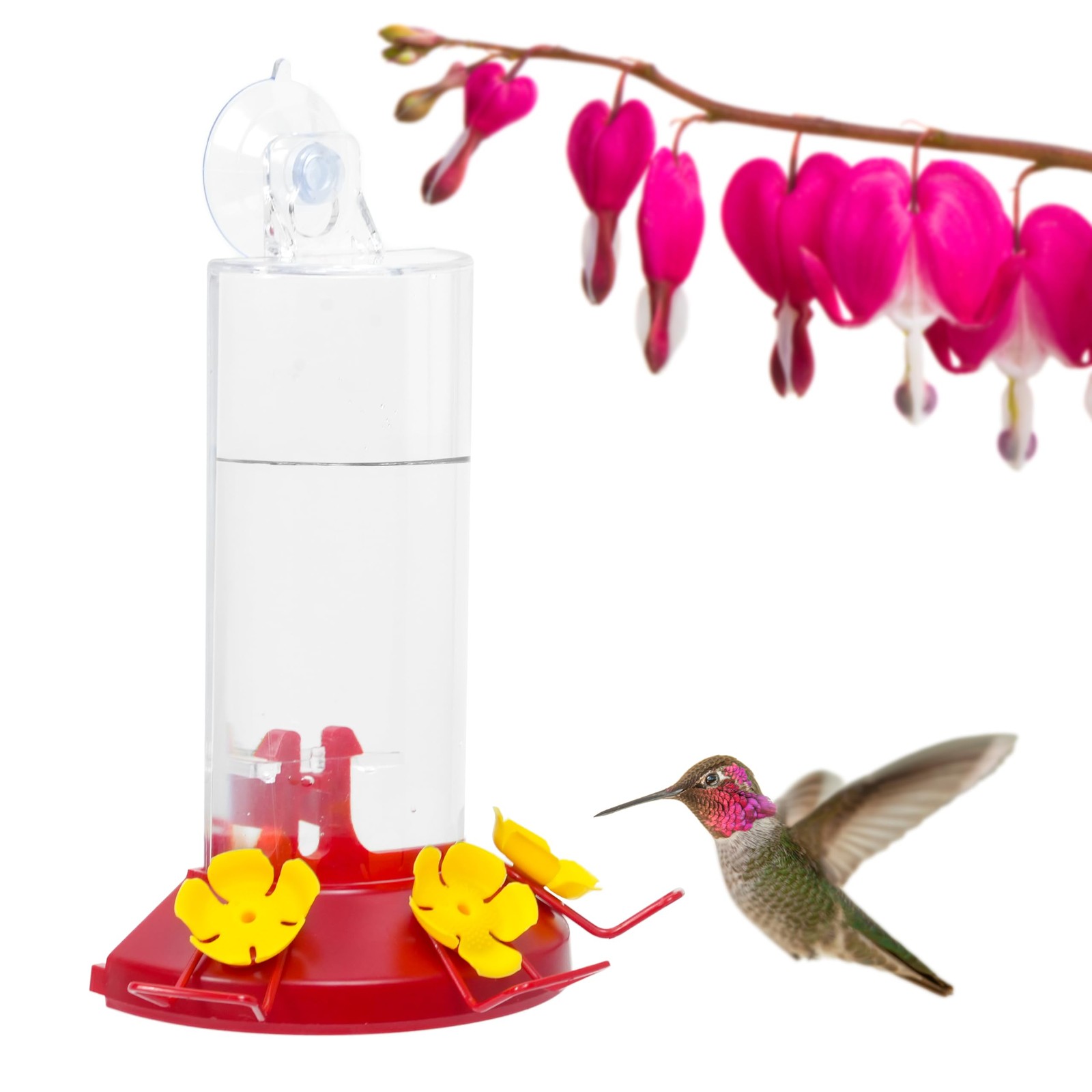 Perky-Pet Plastic Window Mount Hummingbird Feeder 1 Pack, iridescent color