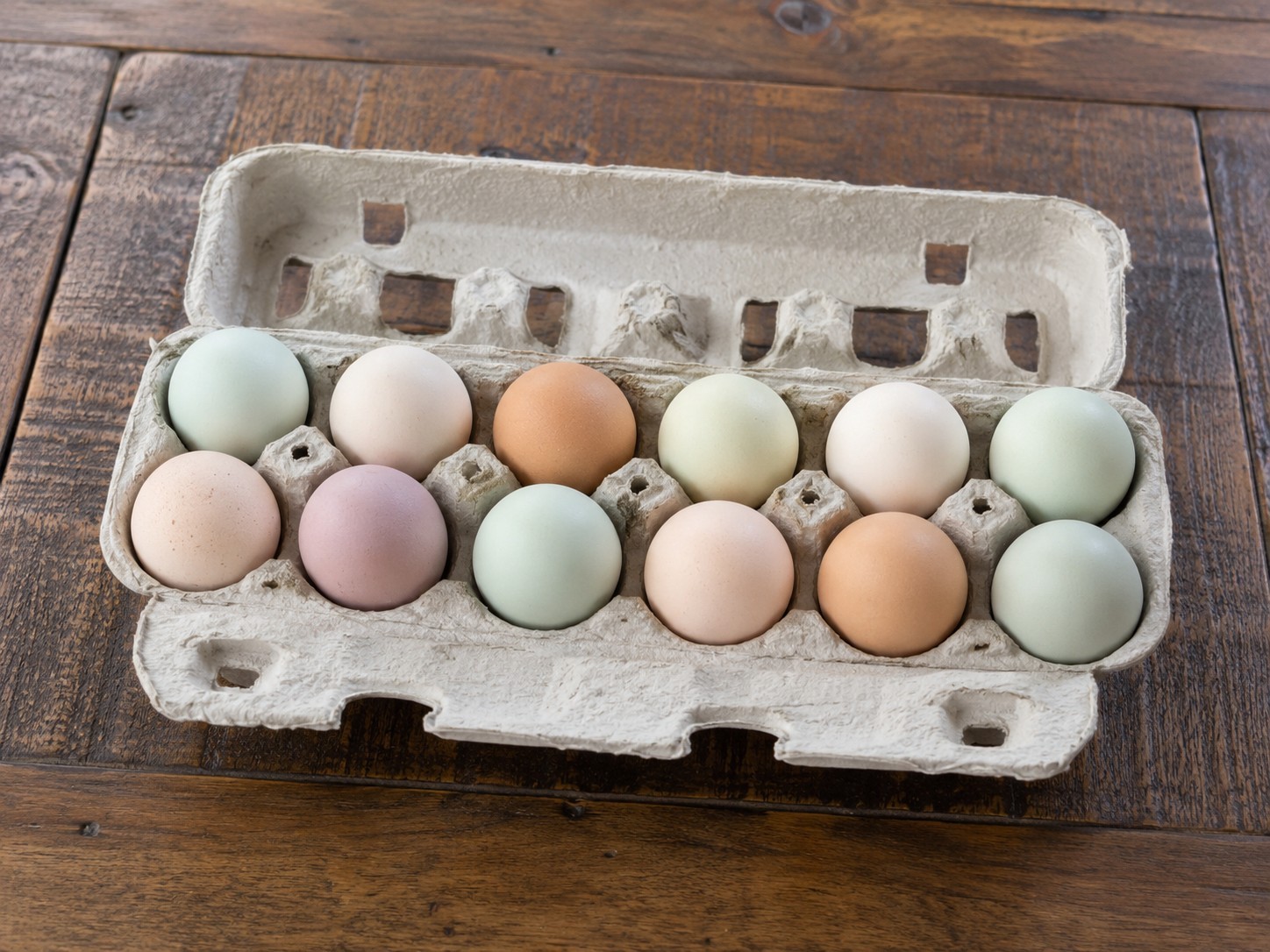 8 Fertile Easter Egger Hatching Eggs NPIP/AI certified