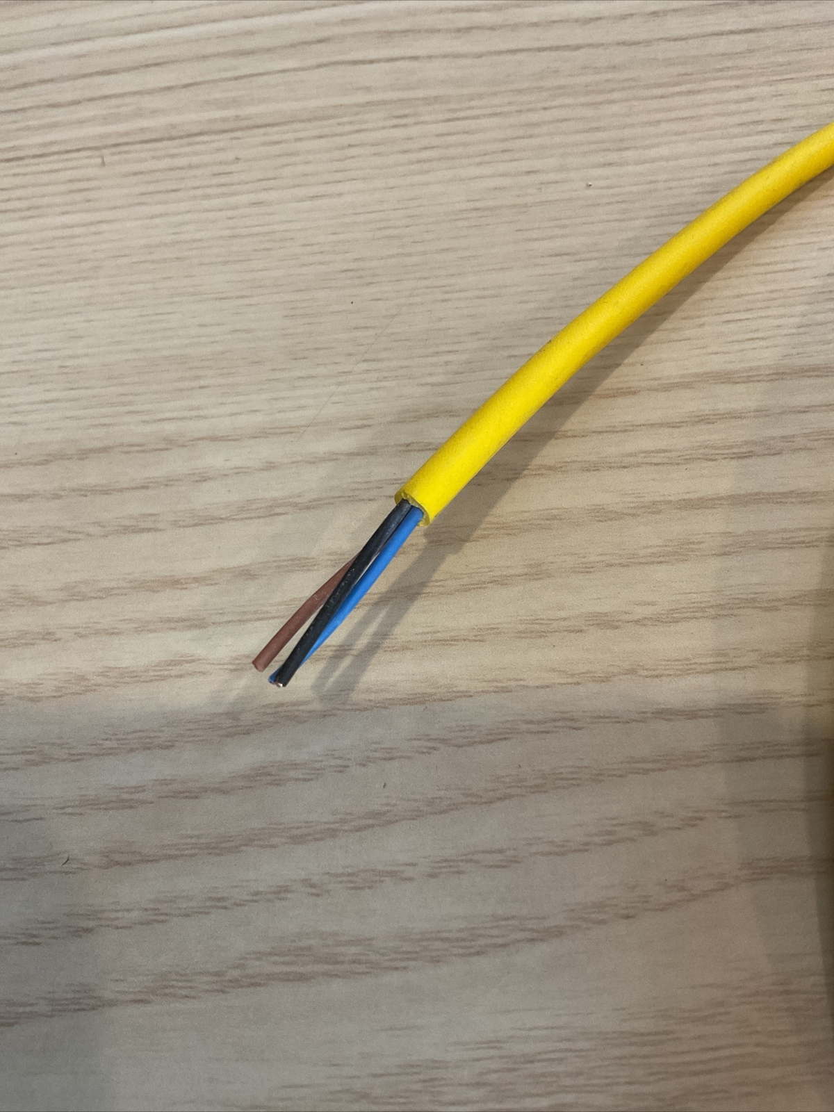 Murr 7000-08081-0300500 Cable