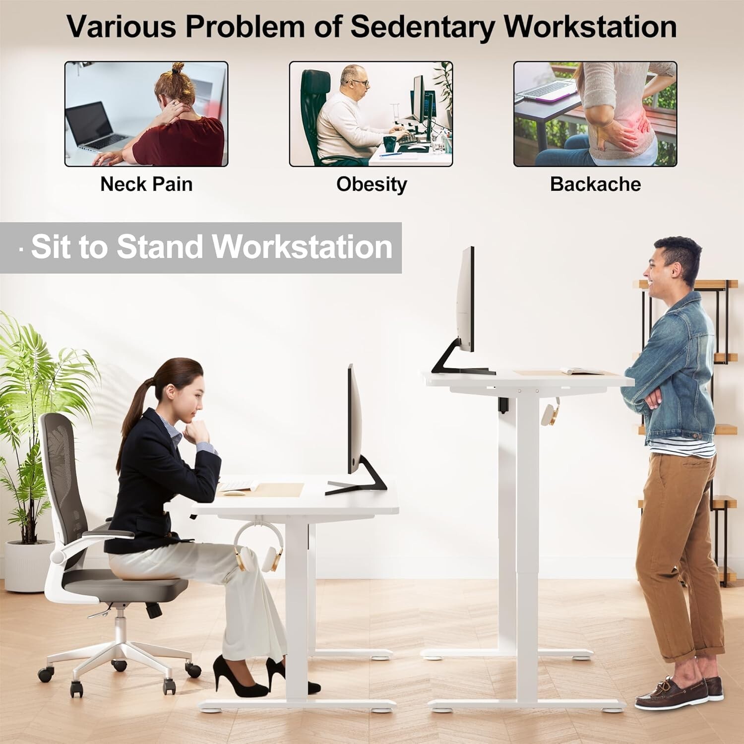 AMADA Electric Standing Desk Adjustable Height up to 46", 55 " wide Light Maple