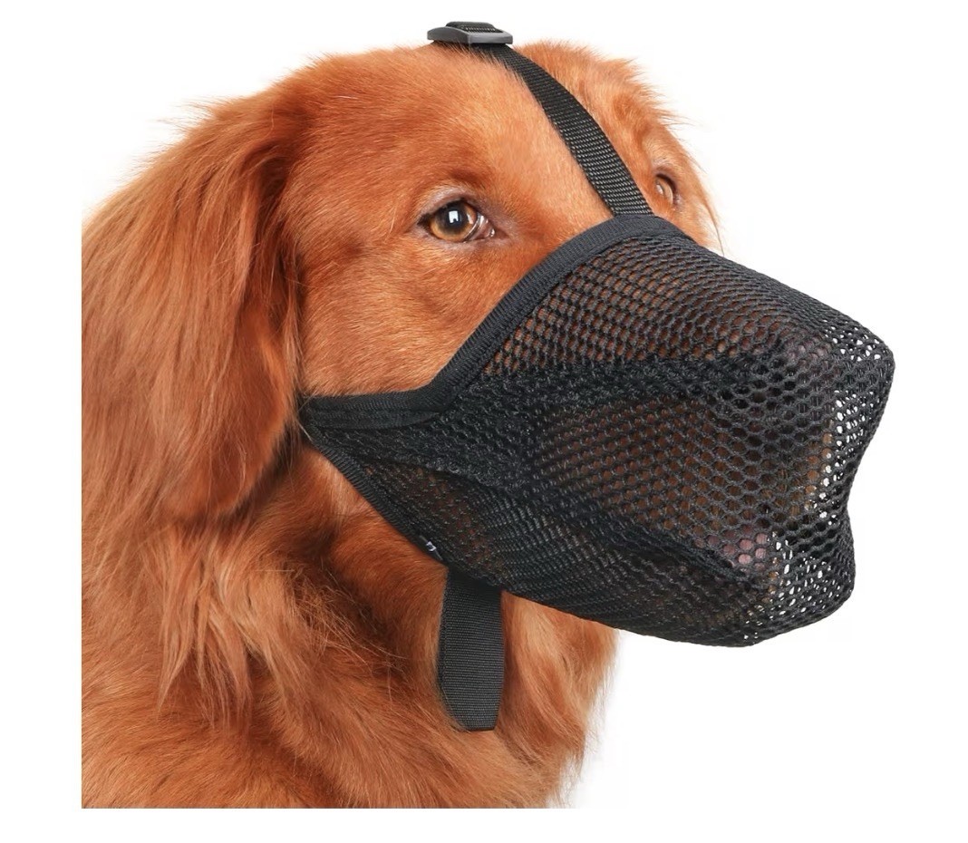 Mayerzon Mesh Muzzle Ultra-Light Breathable Mesh Dog Muzzle Black XS Non Breed